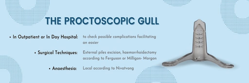 The Proctoscopic Gull - Transparent