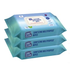 Core Clean Multipurpose Sanitizing Wipes(80 Pulls)